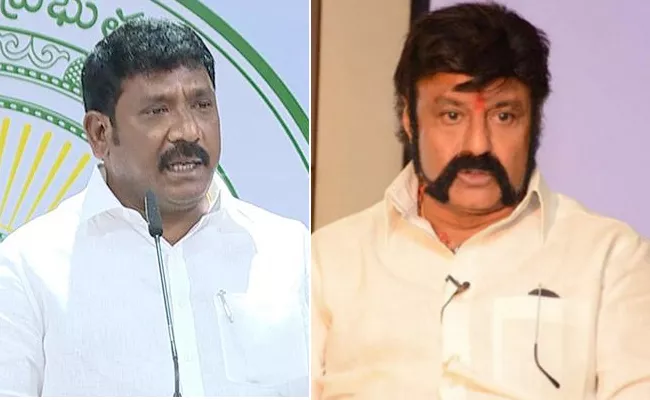 AP Whip Korumutla Srinivas Slams TDP MLA Balakrishna - Sakshi