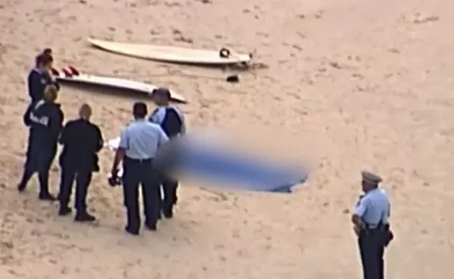 Man Dies After Shark Bites Off Leg At Beach In Australia - Sakshi