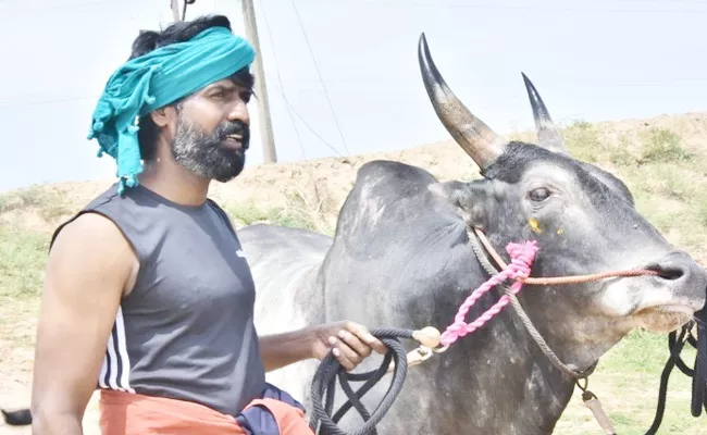 Comedian Suri Jallikattu Photos Viral in Social Media - Sakshi