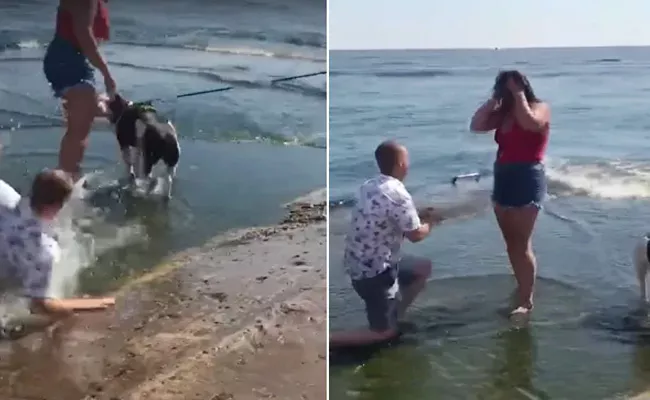 US Man Falls Into Lake Right Before Proposing To Girlfriend - Sakshi