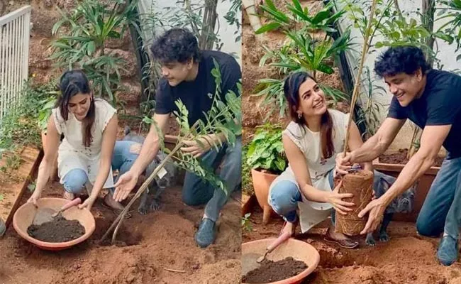 Samantha planted sapling  with King Nagarjuna - Sakshi