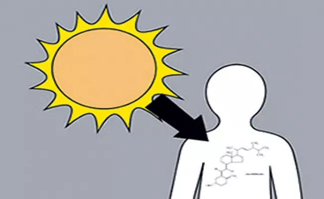 Doctors says we need vitamin D to deal with corona - Sakshi