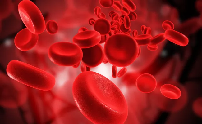 Hyderabad University Scientists Researched On Platelets - Sakshi