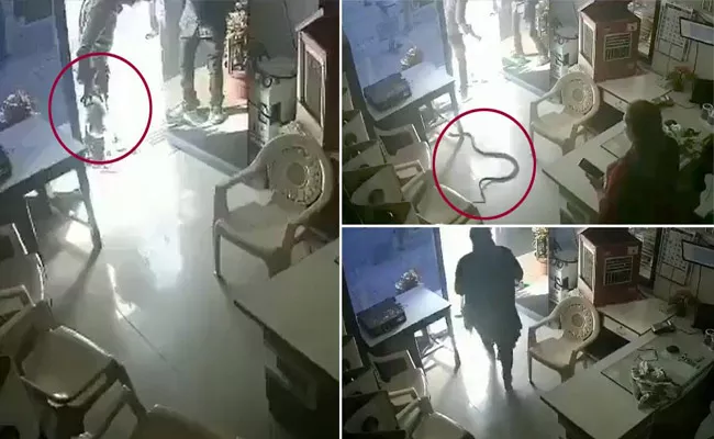 Man Release Huge Snake At Petrol Pump In Maharashtra - Sakshi