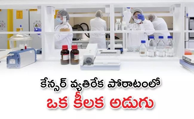 Scientists find fatty acid that can kill cancer cells - Sakshi