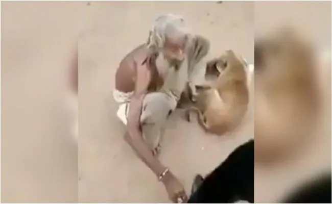 Viral Video: Beggar Feeds Street Dogs From His Plate  - Sakshi