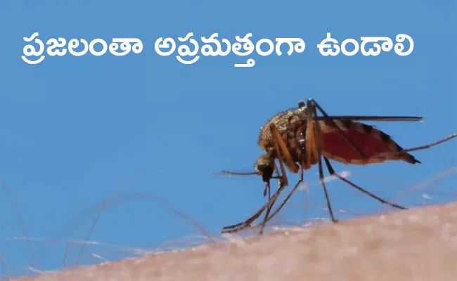 Myanmar Government Issues Alert To Prevent Dengue Fever - Sakshi