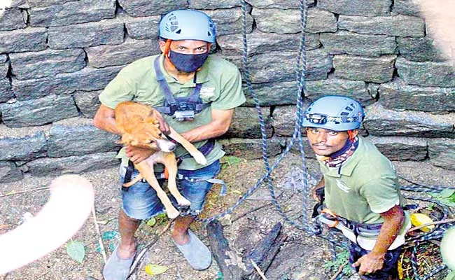 Santosh Yadav Saves Dog From Farm well At Nizamabad - Sakshi