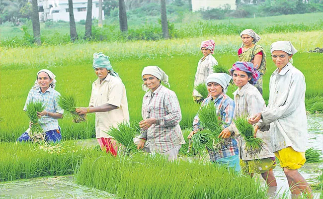 Gatika Vijaykumar Guest Column About Agriculture In Telangana - Sakshi