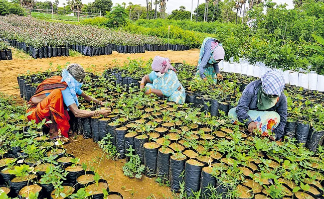 Everything is ready for the plant festival Vana Mahotsavam - Sakshi