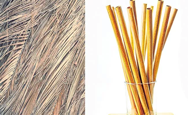 Organic Straws Made With Coconut Leaves In Sagubadi - Sakshi