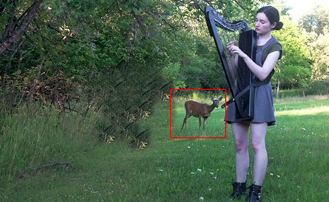 A Deer Hanging Out In a harp session By a Women - Sakshi