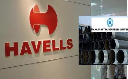 Maharashtra seamless -Havells India plunges on results - Sakshi