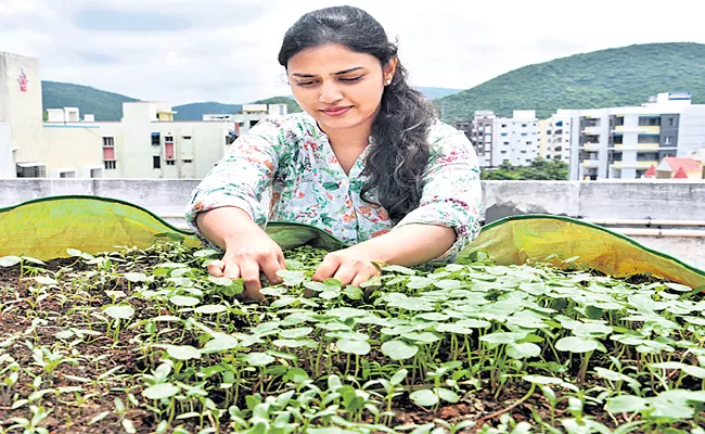 Rachana Intipanta Special Story in Sagubadi - Sakshi