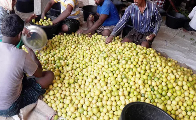 Andhra Pradesh Government Sales Lemon From SPSR Nellore - Sakshi