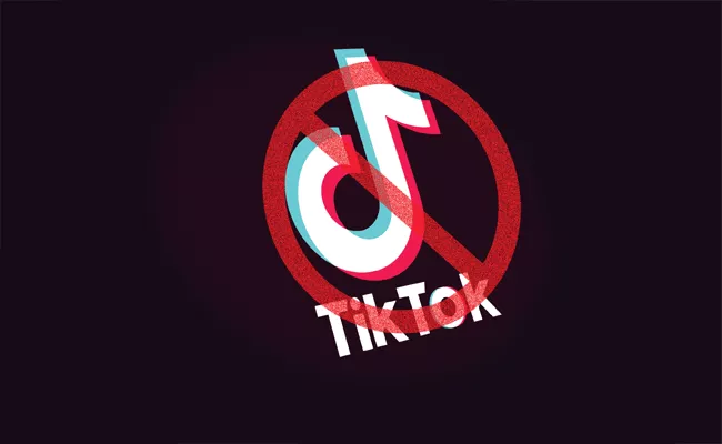 TikTok Indian users data located in Singapore servers - Sakshi