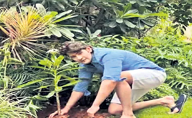 Mahesh Babu takes up green India challenge - Sakshi