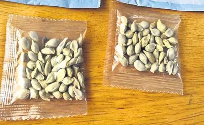 Police Said To Farmers Do Not Take Suspicious Foreign Fake Seed Packets - Sakshi