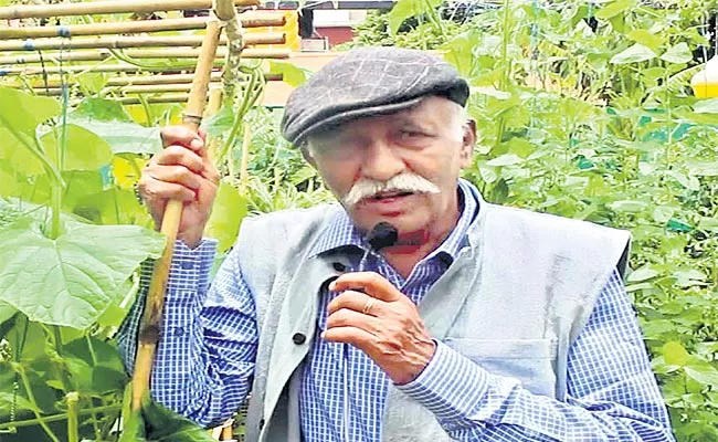 Terrace Kitchen Gardening Doctor BN Vishwanath Story In Sagubadi - Sakshi