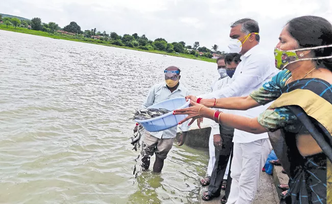 Harish Rao Comments On Development and welfare schemes - Sakshi