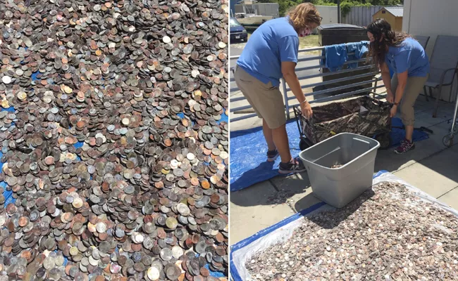 North Carolina Aquarium Collect Gallons Of Wish Coins To Pay Bills - Sakshi