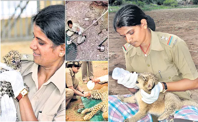 Lion And Wild Animals Women Guard Rasila Vadher Special Story - Sakshi