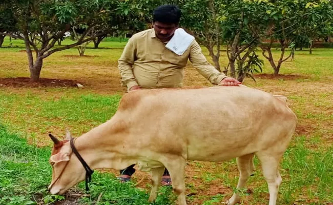 Puthalapattu MLA MS Babu Visit Agriculture Land in Village - Sakshi