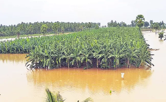 Heavy Rain forecast For AP On 17th August - Sakshi