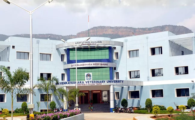 SV Veterinary University Has Scored Two Key Projects - Sakshi