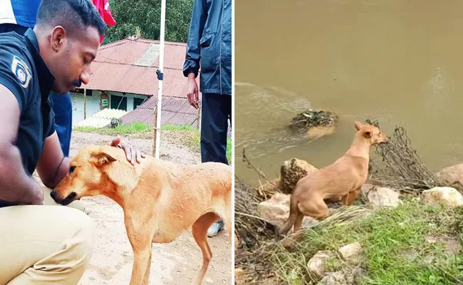 Kerala Police Adopt Dog Who Helped Idukki Landslide Operation - Sakshi