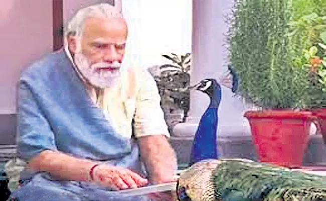 PM Modi Shares Video Of Him Feeding Peacocks - Sakshi