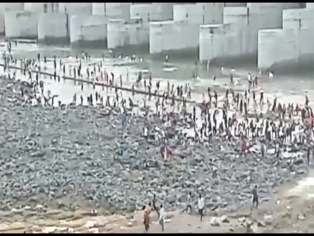 Fishes At Sundilla Barrage Pump House At Mancherial 