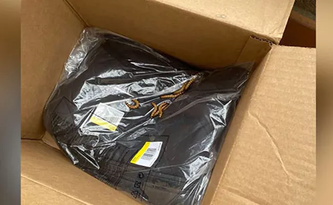 Man Opens Nike Delivery Box To Find It Crawling With Worms - Sakshi