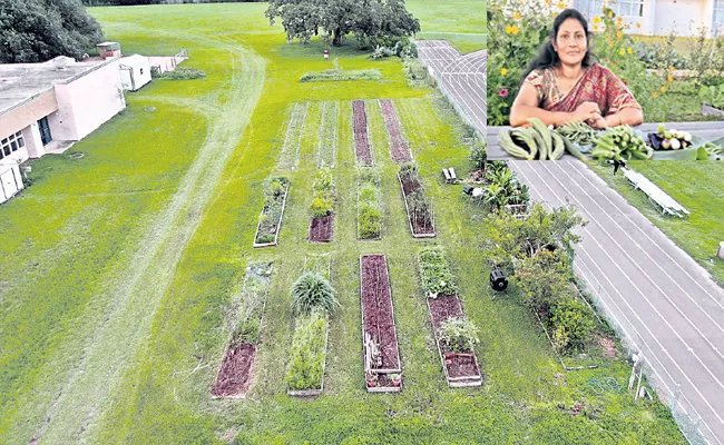 Sakshi Interview With Shilpa About Home Harvest In Sagubadi