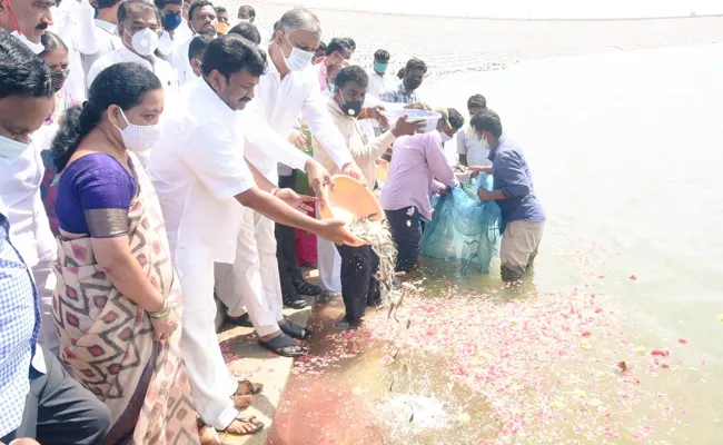 Fishes released in to Kondapochamma Reservoir - Sakshi