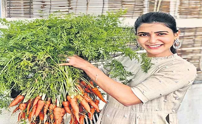 Tollywood Actress Spending Time In Gardening - Sakshi