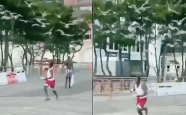 Viral Video: Seagulls Chase Man To Steal Food - Sakshi