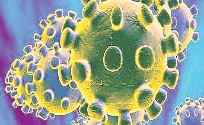 Not everyone in coronavirus-hit family prone to disease - Sakshi