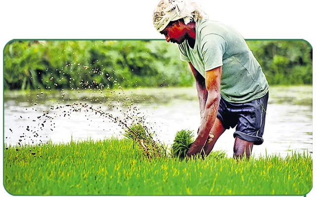 More than half of the total area of AP is already under Crop Cultivation - Sakshi