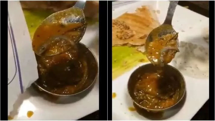 Man Finds Lizard In Sambar At Top Delhi Restaurant - Sakshi