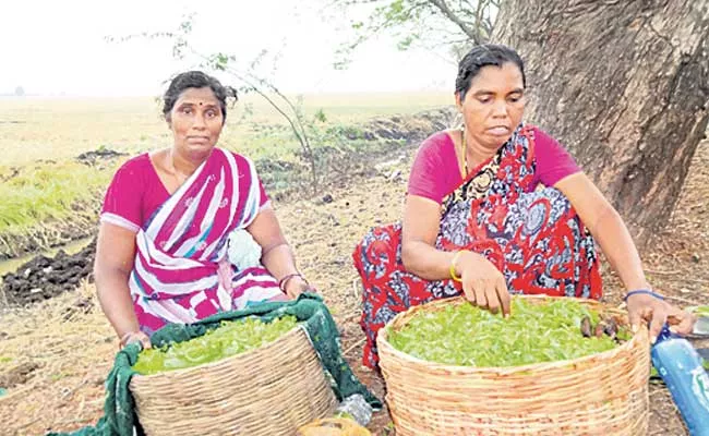 Special Story About Nagendram And Bharathi From Tenali guntur District - Sakshi