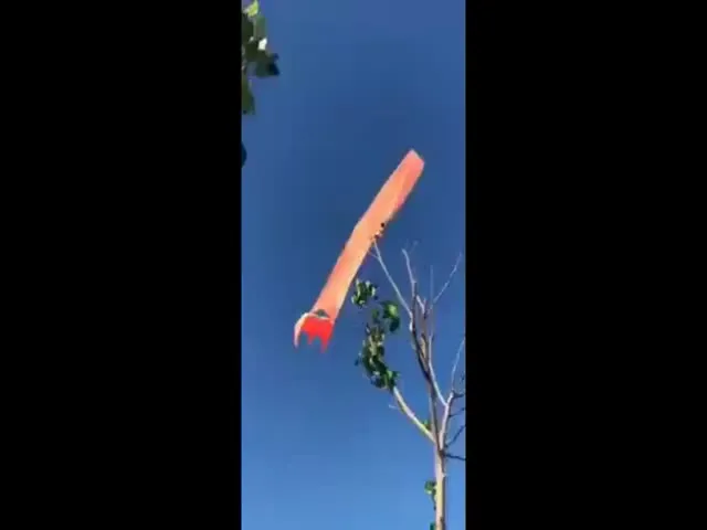 Taiwan Girl Survives Wild Skyride