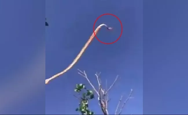 Taiwan Girl Survives Wild Skyride Caught In Tail Of Giant Kite - Sakshi