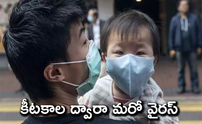 SFTS Virus : Another New Virus In China - Sakshi