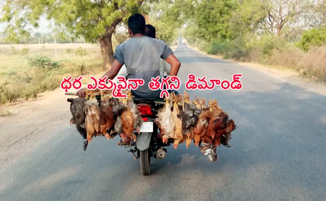 Desi Hen Business Rises in Tribal Villages Warangal - Sakshi