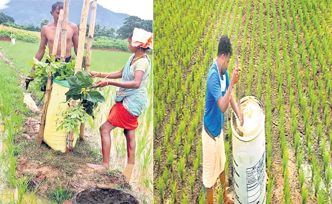 Jeevamrutham Preparation Process In Sakshi Sagubadi