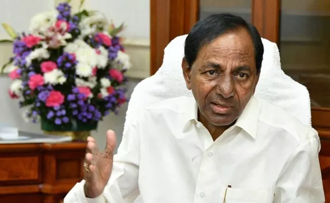 CM KCR Meeting With Revenue Employees In Pragathi Bhavan - Sakshi