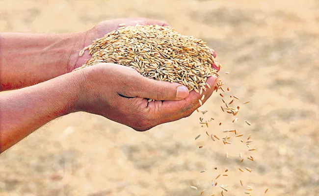 Kharif Crop Target Is 62 Lakh Metric Tonnes - Sakshi