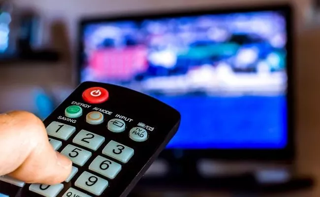 CRISIL Survey: DTH Broadcasters Revenue Grew by 6 Percentage - Sakshi