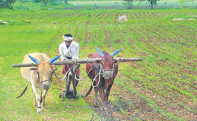 3 Ordinances That will Corporatise Agriculture - Sakshi